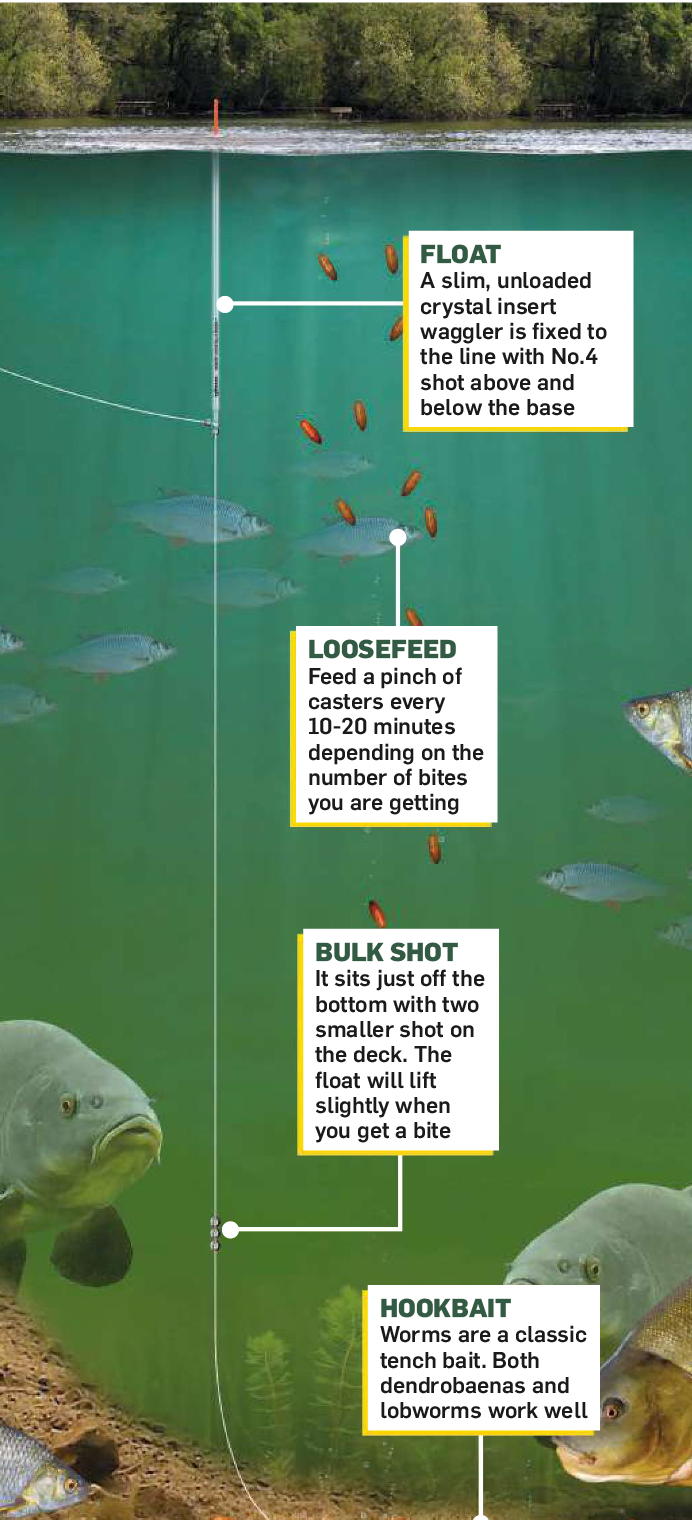No Fixed Rigs Fishing