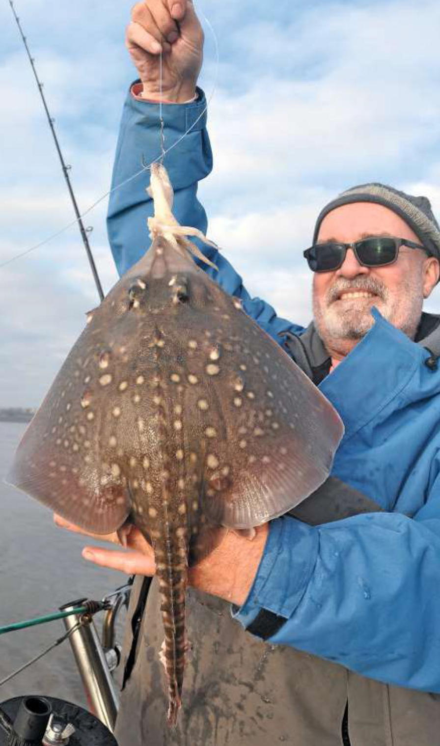 Thornback Ray Rigs Biggest Thornback Ray Uk