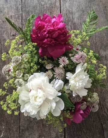 Pioner tizzasidan yuqori va külot jinsiy aloqa Pioner tizzasidan yuqori va külot jinsiy aloqa