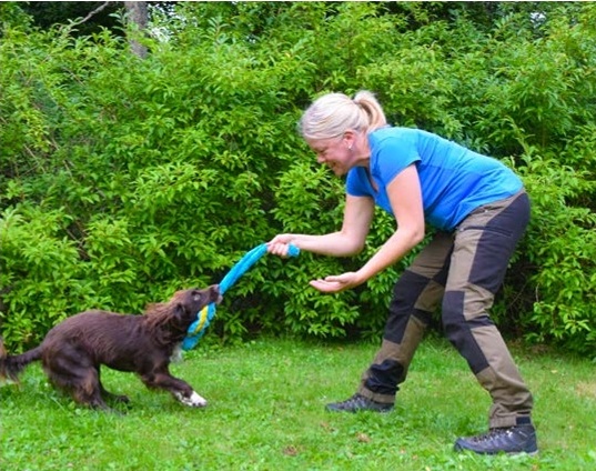 Vint ostida jinsiy aloqa onlayn