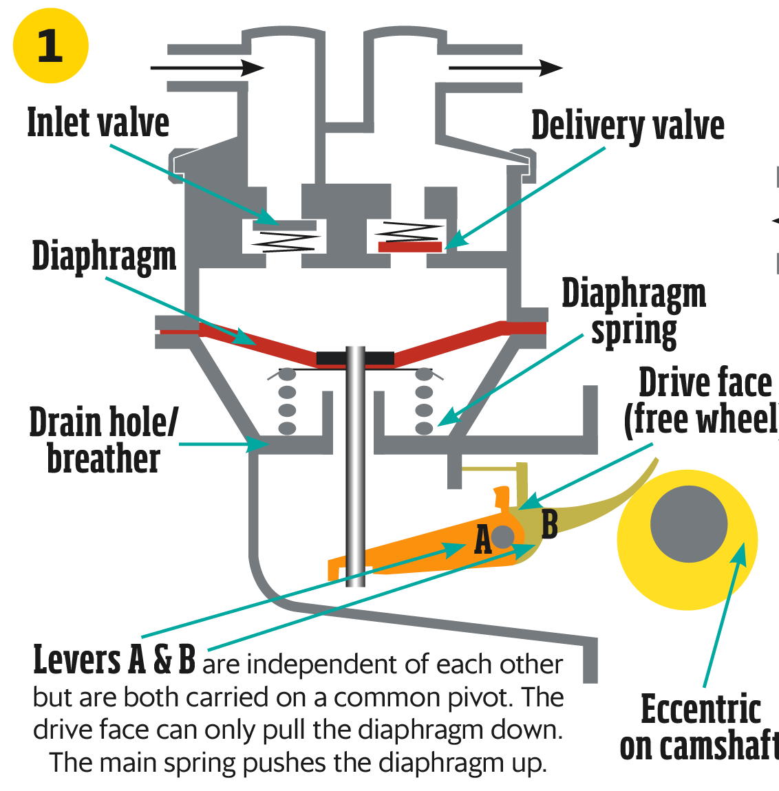 Diaphragm Fuel Pump Diagram