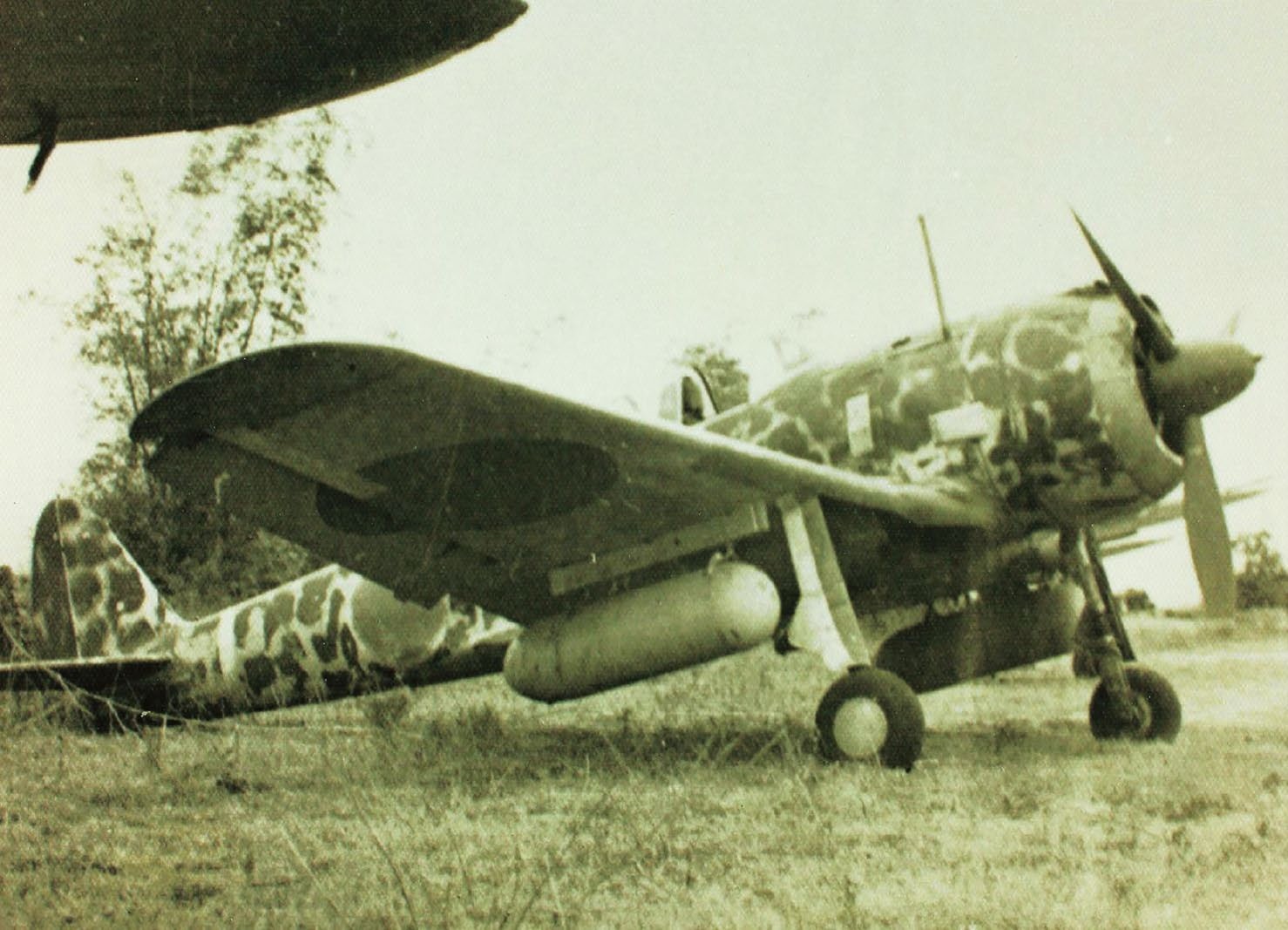 Nakajima ki-43 hayabusa 'oscar' - 5 Dec 2024 - History of