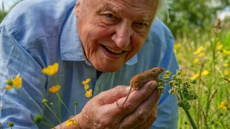 26 for 2026 - 30 Dec 2025 - BBC Countryfile Magazine - Readly