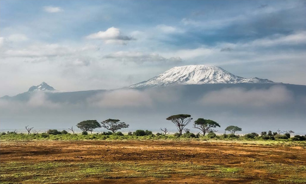 Biophilia why we find beauty in nature… - 6 May 2020 - Liz Earle Wellbeing Magazine - Readly
