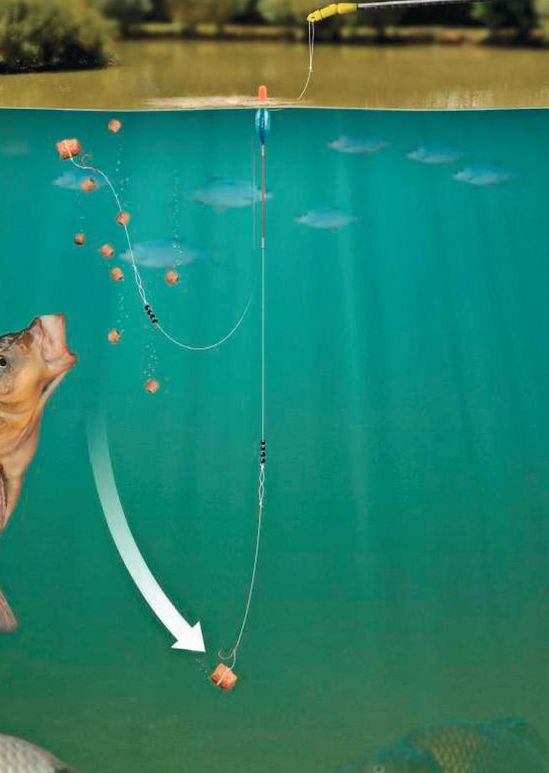 Shallow Field Rigs Shallow Water Fishing Rigs